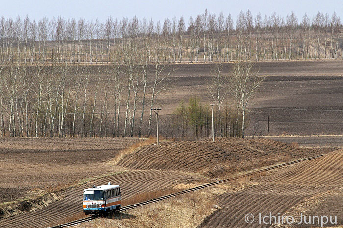 Forestry line Xinglongzhen