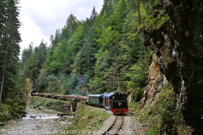 Viseu de Sus, logging train